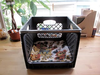 Pet Bed Milk Crate