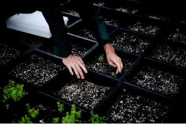 How to Use Milk Crates for Your Garden